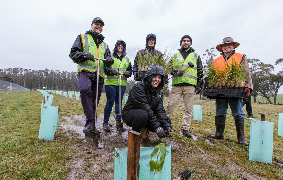 Fonterra Hapori programme planting