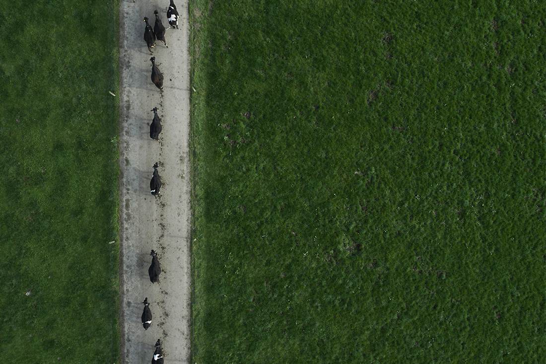 Fonterra Ki Tua Fund photo