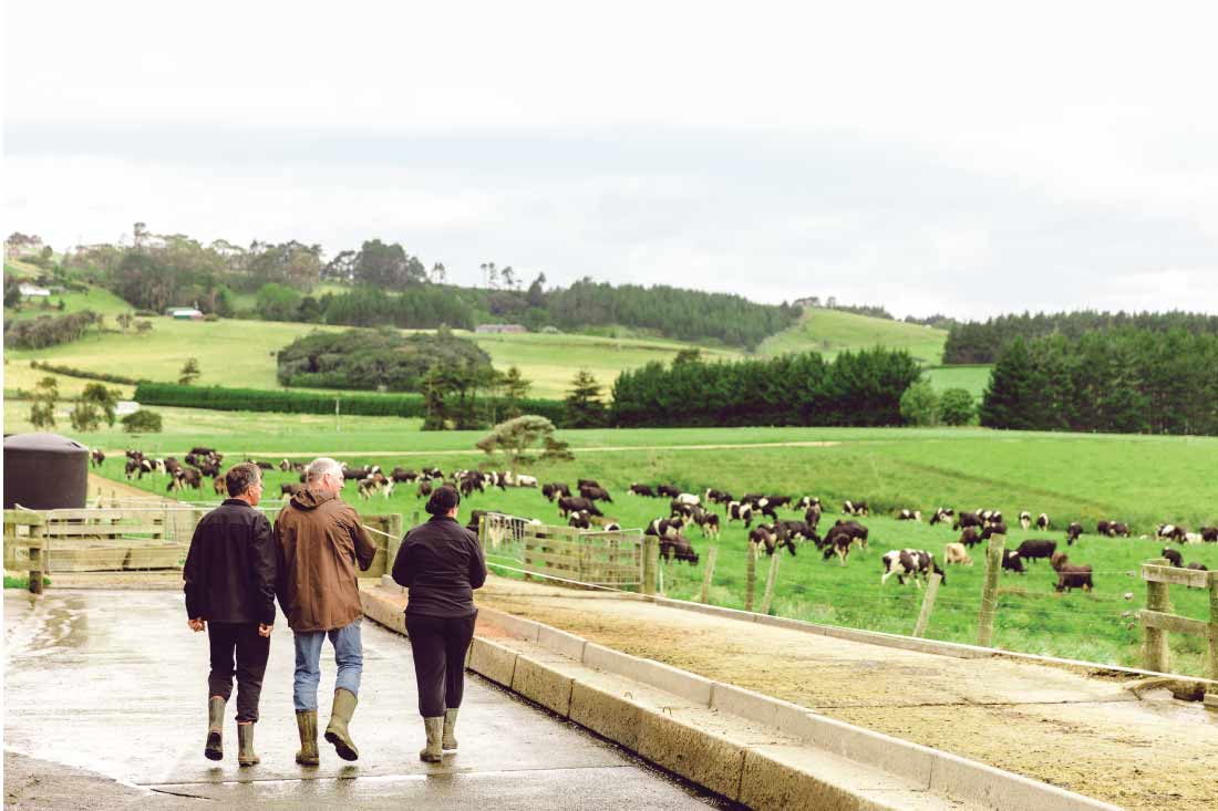 Fonterra farmers on farm with cows