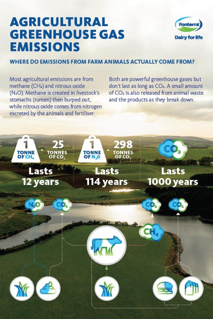 Agricultural Greenhouse Gas Emissions - Where do emissions from farm animals actually come from?