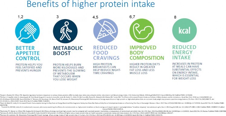 Benefits of higher protein intake infographic