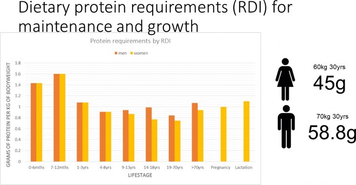 Dietary protein requirements (RDI) for maintenance and growth graph